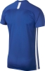 Maillot  Nike Dri-FIT Academy
