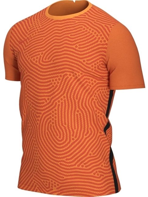 Camisa de Portero Nike Gardien III
