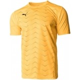 Camiseta Entrenamiento de Fútbol PUMA FTBLNXT Graphic Core 656516-04