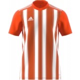 Camiseta de Fútbol ADIDAS Striped 21 H35642