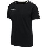 Camiseta Entrenamiento de Fútbol HUMMEL HmlAutenthic Training Tee 205379-2114