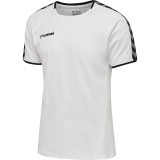 Camiseta Entrenamiento de Fútbol HUMMEL HmlAutenthic Training Tee 205379-9001