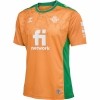 Camiseta hummel 3 Equipacin Real Betis 2022-23