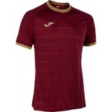 Camiseta de Fútbol JOMA Gold V 103239.650