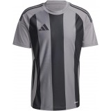 Camiseta de Fútbol ADIDAS Striped 24 IW2145