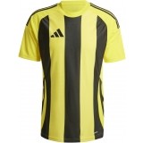 Camiseta de Fútbol ADIDAS Striped 24 IW2146