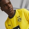 Camiseta Puma 1 Equipacin Borussia Dortmund 23-24