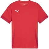 Camiseta de Fútbol PUMA TeamGOAL 705747-01