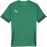 Camiseta de Fútbol PUMA TeamGOAL 705747-05