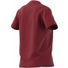 Maillot  adidas Entrada 22 Tee Women