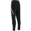 Pantalon adidas Tiro 24 Competition Winterized Pant