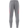 Pantalon adidas Tiro 24 Competition Winterized Pant