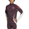 Avant-match adidas Training Top Bayern Munich 2024-2025