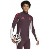 Avant-match adidas Training Top Bayern Munich 2024-2025