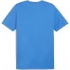 Camiseta Entrenamiento Puma TeamGoal Casual