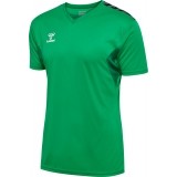 Camiseta de Fútbol HUMMEL Hml Authentic Poly Jersey S/S 219964-6235