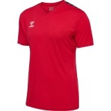 Camiseta de Fútbol HUMMEL Hml Authentic Poly Jersey S/S 219964-3062