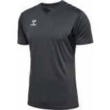 Camiseta de Fútbol HUMMEL Hml Authentic Poly Jersey S/S 219964-1525