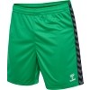 Short hummel Hml Authentic Poly Shorts