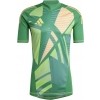 Camisa de Portero adidas Tiro 24 GK