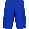 Short Le Coq Sportif N1