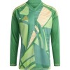 Maillot de Gardien adidas T24 C GK